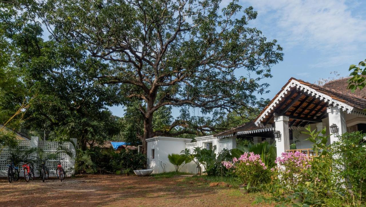 The Island Sanctuary - A Village Secret Chorao Kültér fotó